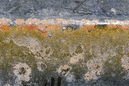 Maguez_L07_268